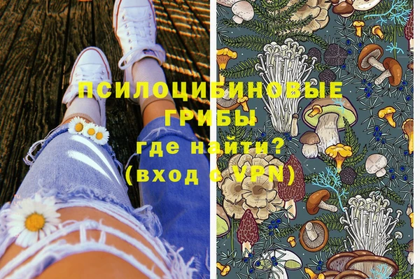 ПСИЛОЦИБИНОВЫЕ ГРИБЫ Алексеевка