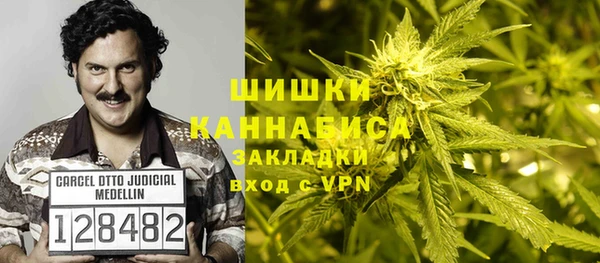 винт Алексин