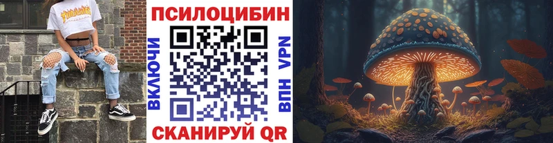 Псилоцибиновые грибы Psilocybe  mega ONION  Перевоз  купить наркотик 